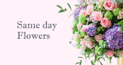 Same day Flowers Knightsbridge